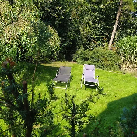 Mooroase - Bauerngarten