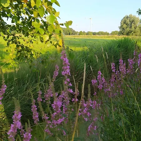 Mooroase - Bauerngarten 아파트 *